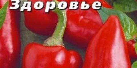 Zdravlje paprike: recenzije, fotografije, prinos